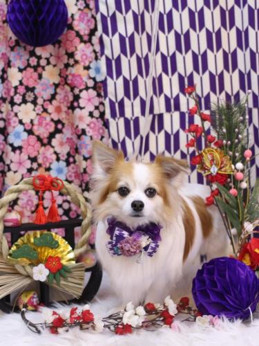 20250115ちゃむくん